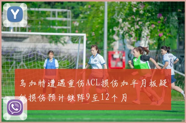 乌加特遭遇重伤ACL损伤加半月板疑似损伤预计缺阵9至12个月